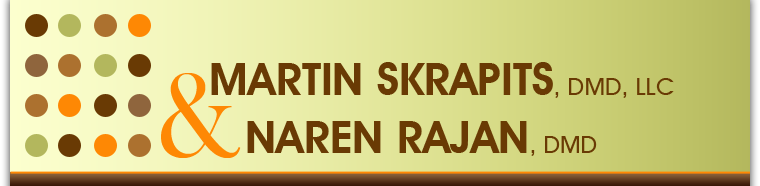 The Blog of Drs. Martin Skrapits & Naren Rajan
