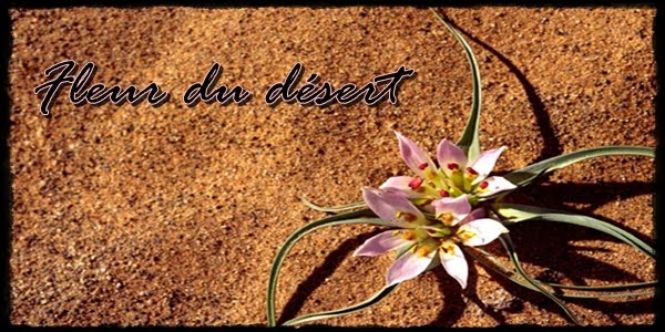 Fleur du désert