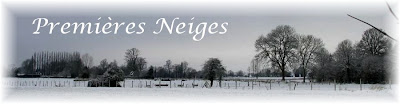 Leonbergs dans la neige