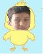 3l gr4n p0ll0!!