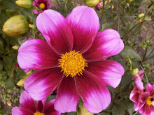 Stranger Teachings Feb.