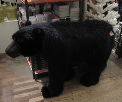 Grizzley Bear at ABC Carpets