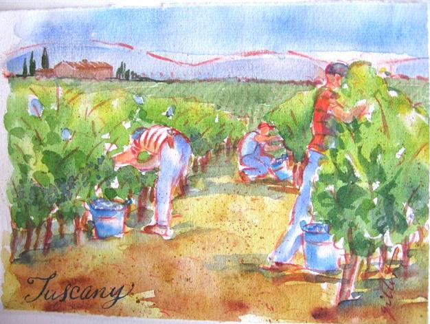 Tuscan grape pickers