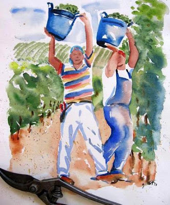 Grape pickers at Regaleali vineyards in Sicily