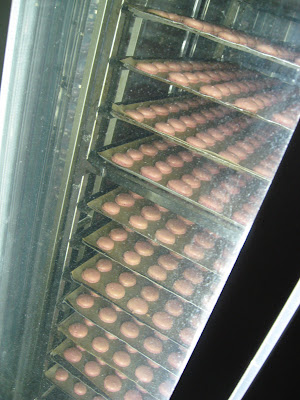 Macarons twirl inside the oven