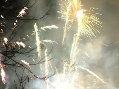 Fireworks over the valley