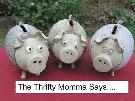 The Thrifty Momma