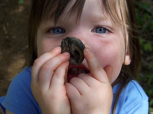 [358244893209_0_BG.jpg]