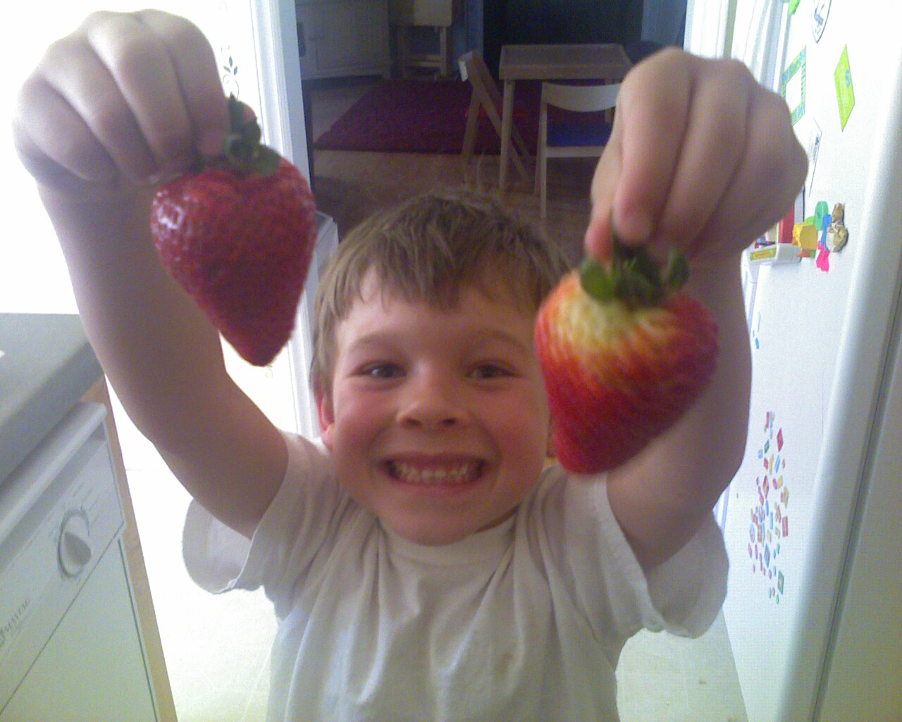 [Photo_04-733369.jpg]