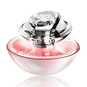 parfum chloé rose