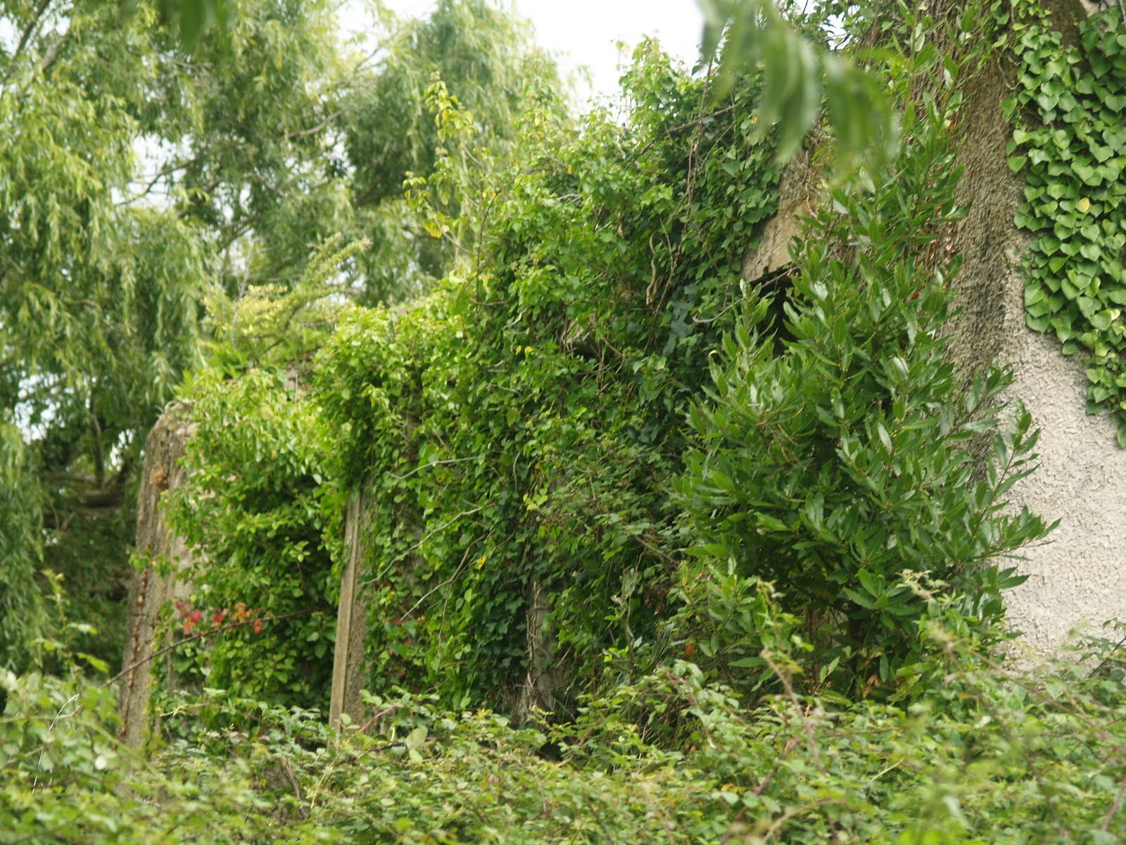 EDUCACIÓN EN ORCASUR Las Colonias escolares de la Institución Libre de