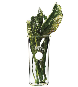 [kale_chips_v.jpg]