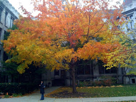lovely leafage