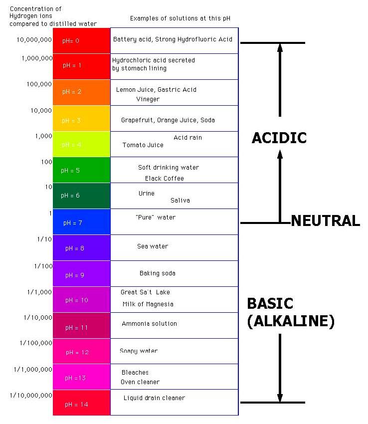 Acid And Base Chart