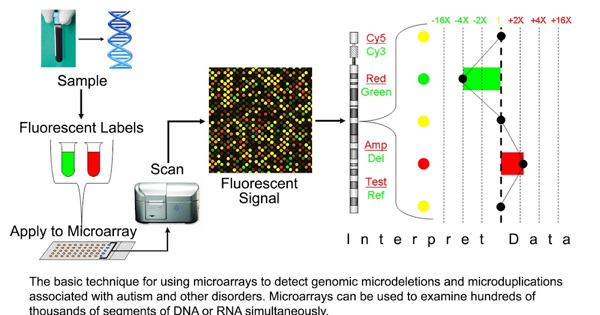BIOSPROJECT: CGH array