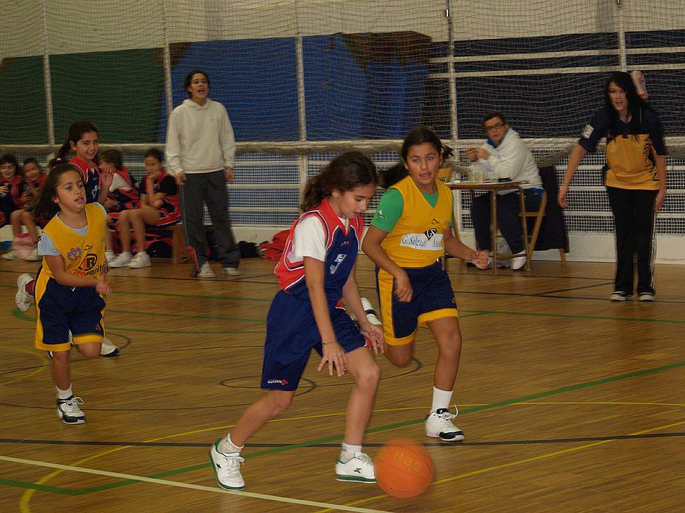 [230110-InmaculadaB-PioXii-Premini-01.JPG]