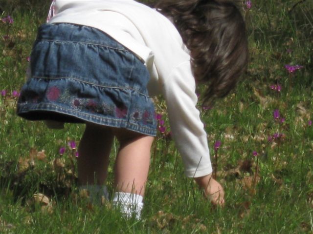 [flower2.jpg]
