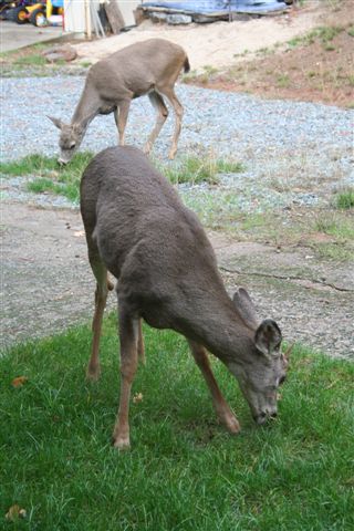 [IMG_3699.JPG]
