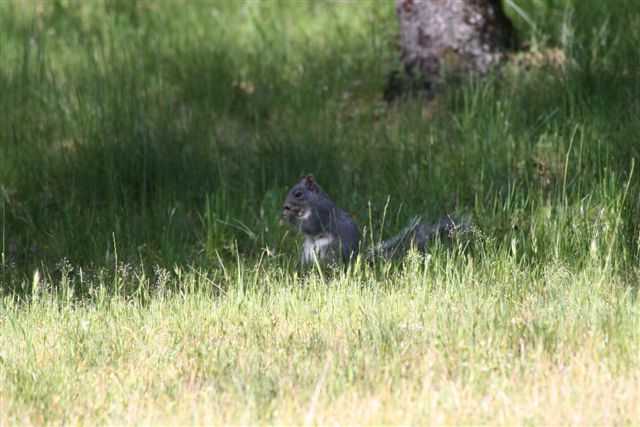 [IMG_0066.JPG]