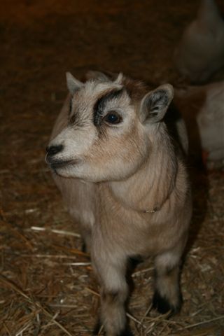 [IMG_6585.JPG]