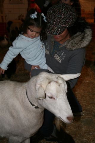 [IMG_6597.JPG]