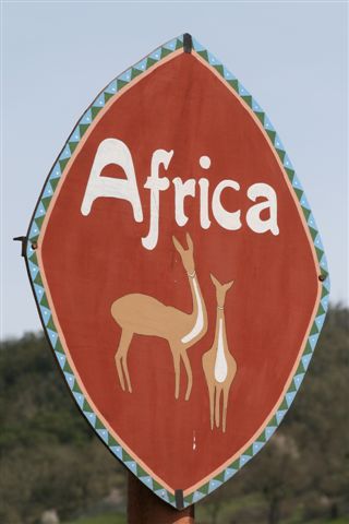 [IMG_0431.JPG]