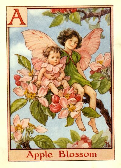 [apple_blossom_flower_fairy.jpg]