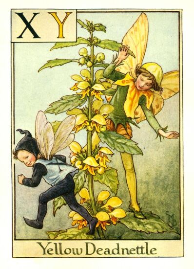 [yellow_deadnettle_flower_fairy.jpg]