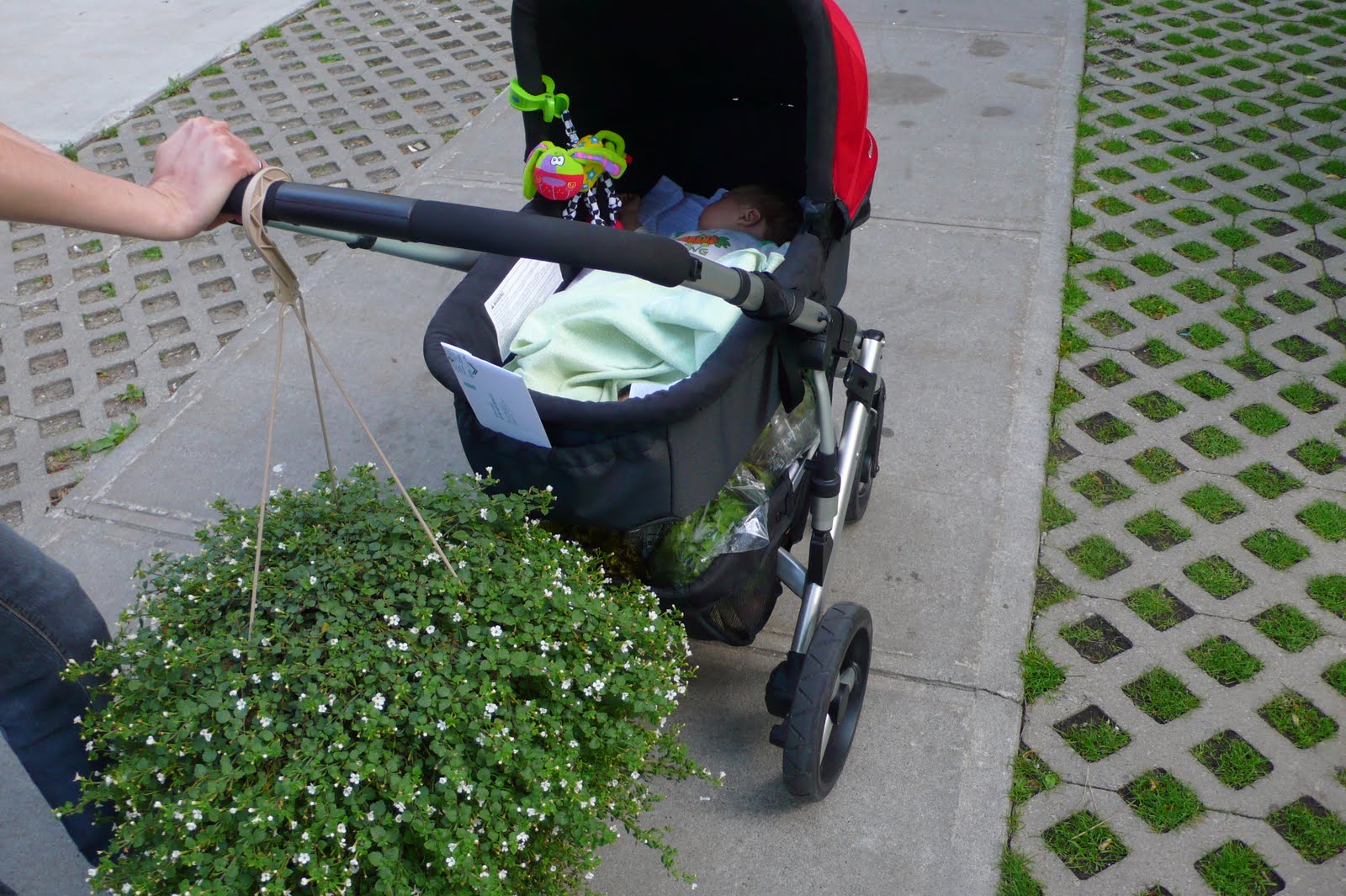 Engineered Chaos: A Journey in Parenting: UppaBaby Stroller Review