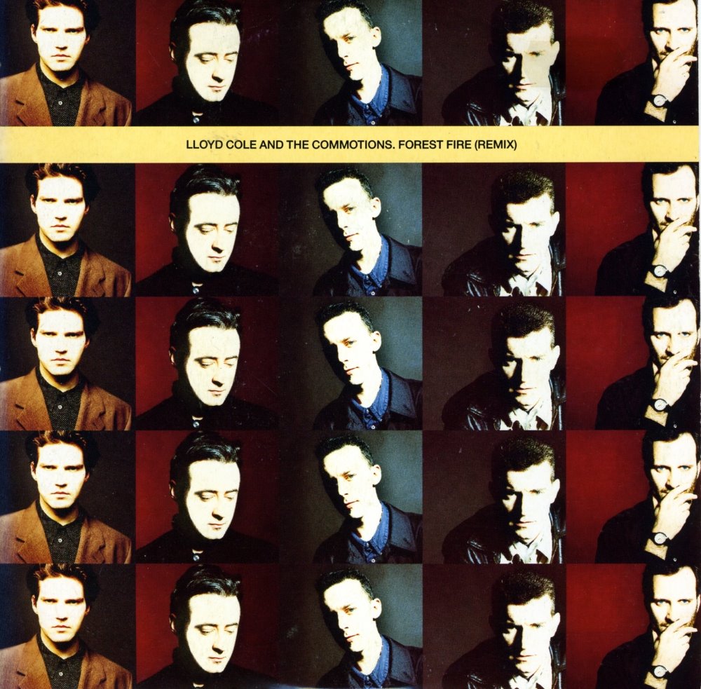 [lloydcolecommotions7.jpg]