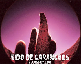 Nido de Caranchos