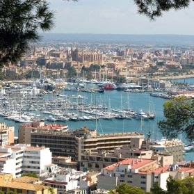 Bmw 320 palma de mallorca #2