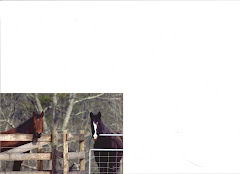 Junie B and Dixie Chick