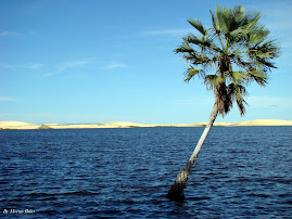 Lagoa do Portinho - Piauí