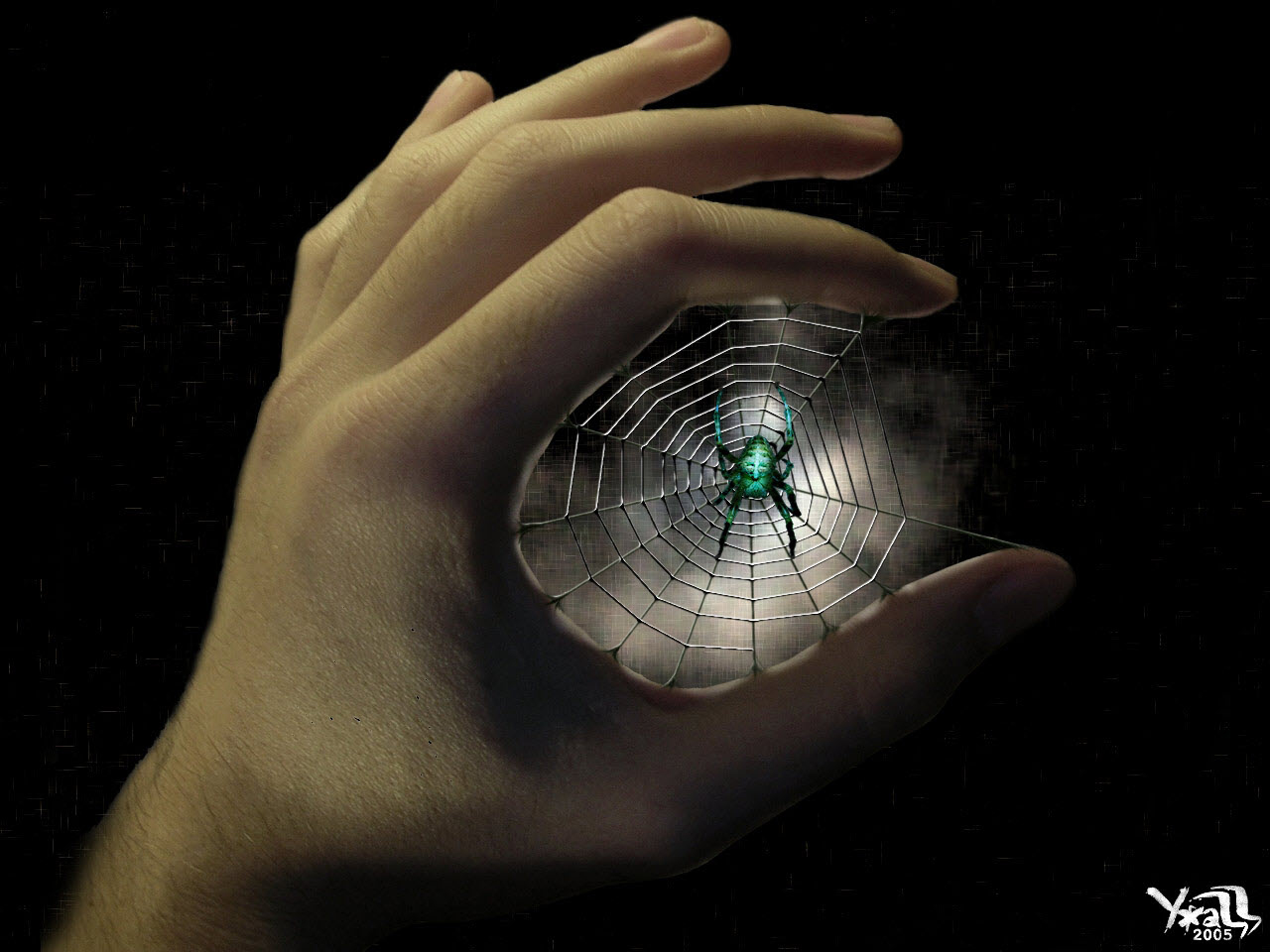 Amazing Black Wallpapers | HD Wallpapers