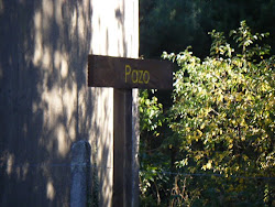 Pazo