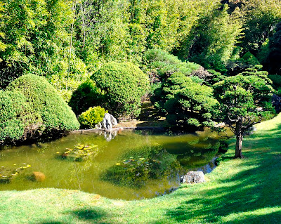 Tomatoes From Canada Tea Garden