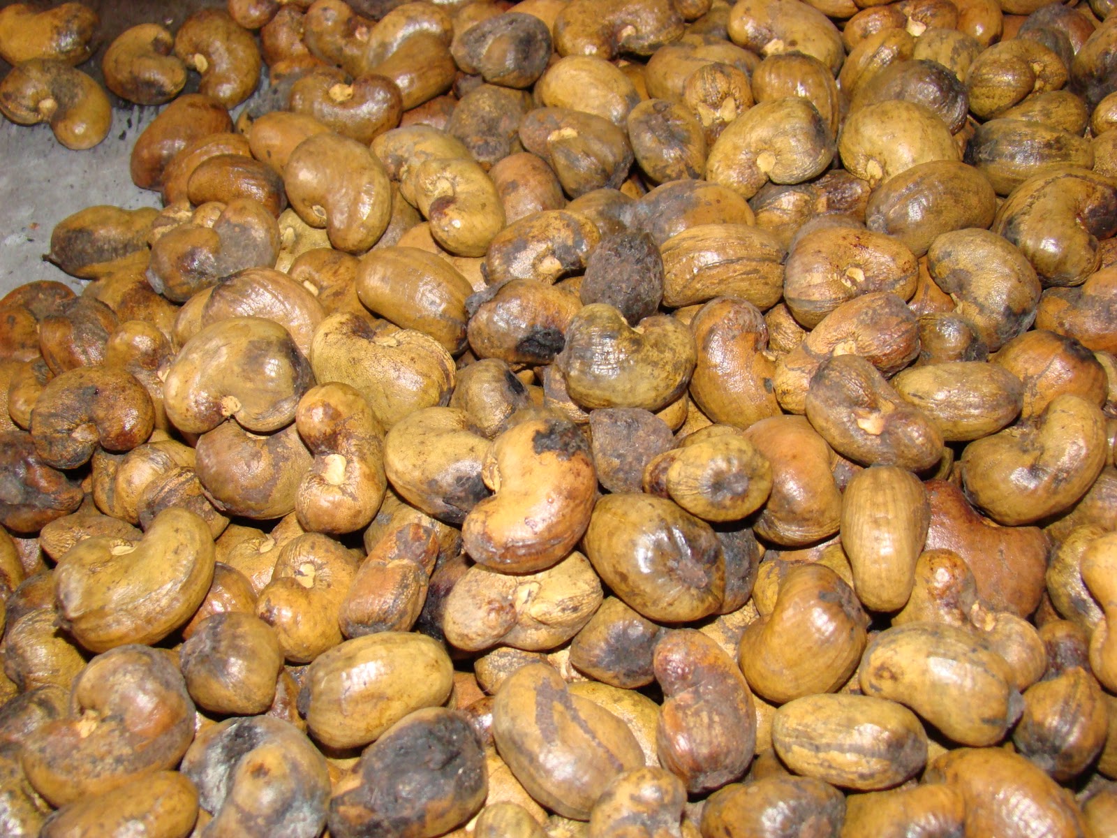 Mezze Moments Crunching cashews