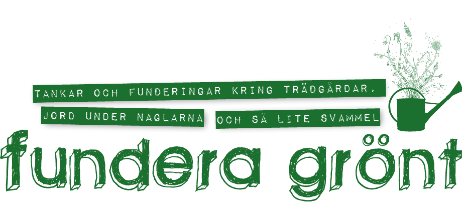 Fundera grönt