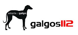 Galgos 112