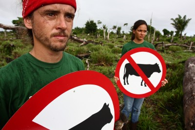 [FOTO+BOI+GREENPEACE.png]