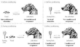 DHRUVA MY STARS: PAVLOV