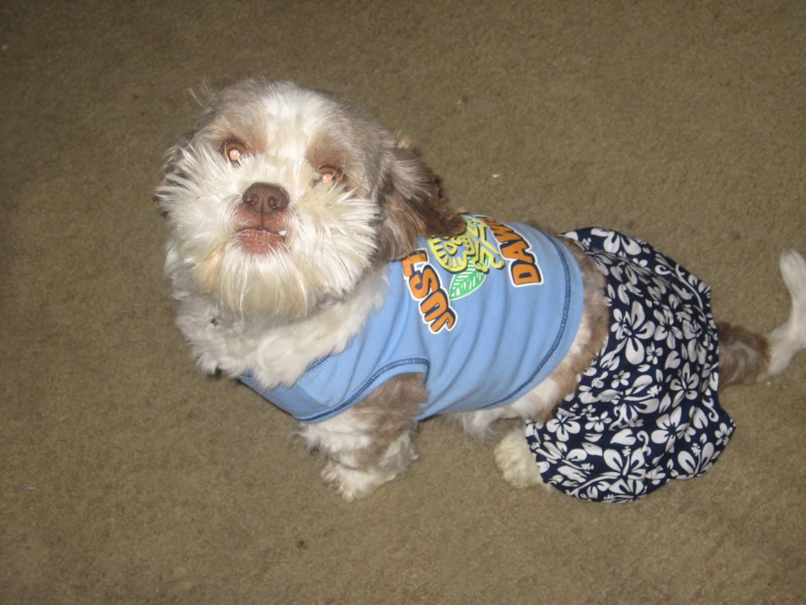 The Walker Family Snickers Halloween Costume