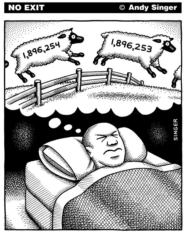 sheep.jpg
