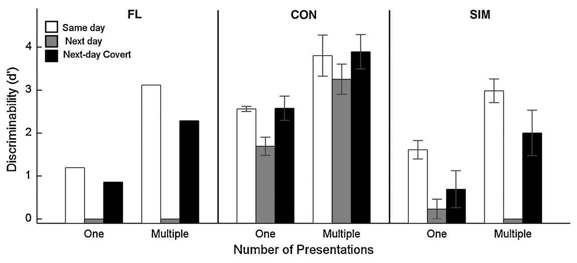 The Neurocritic The Unique Case of “50 First Dates” Amnesia