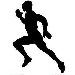 Jerry Fitness Corner