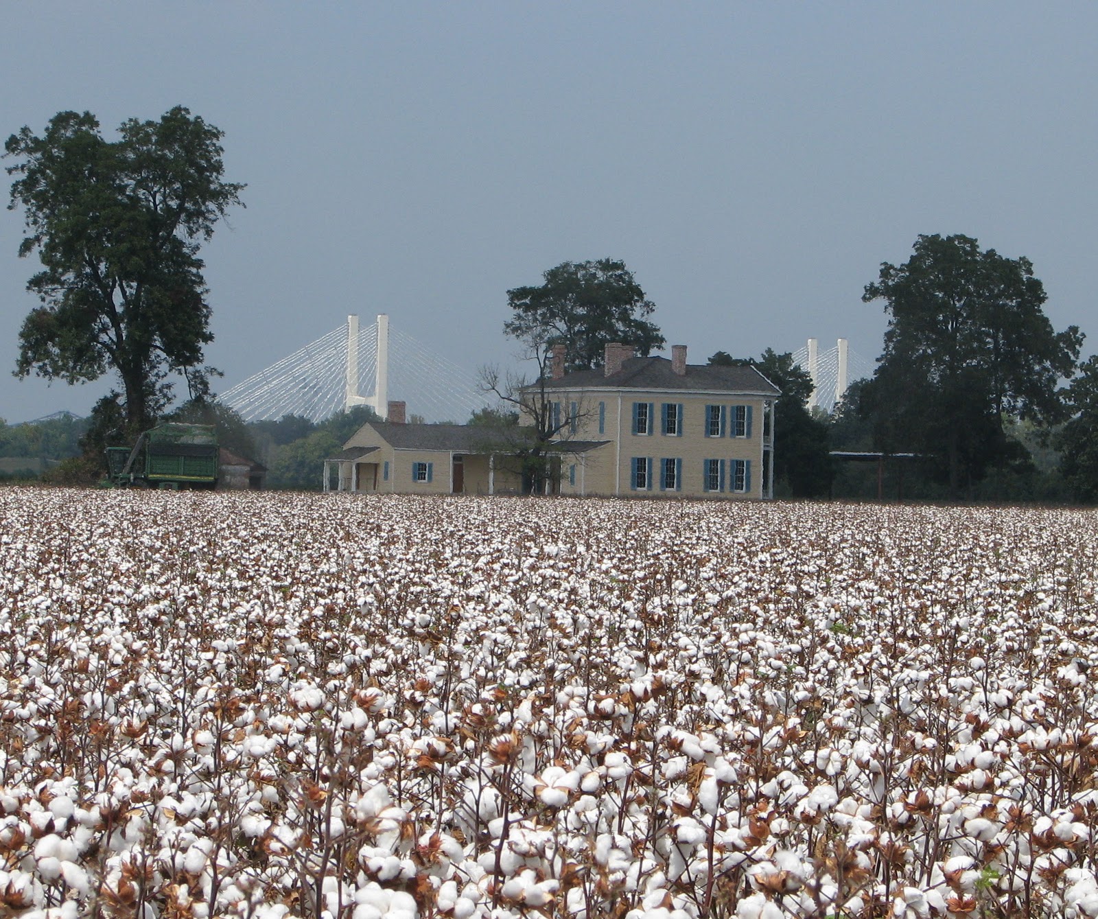 lakeport-plantation-another-season-of-cotton