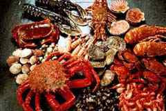 MARISCOS claves para consumir un marisco SEGURO MARISCOS claves para consumir un marisco SEGURO