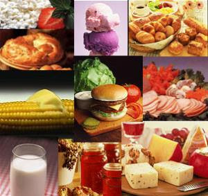 Alimentos del futuro Ainia participa. Alimentos del futuro Ainia participa Alimentos del futuro Ainia participa. Alimentos del futuro Ainia participa