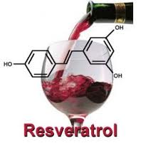  Resveratrol 